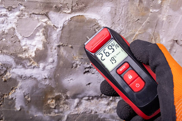 Best Residential Mold Removal  in Jamestown, OH
