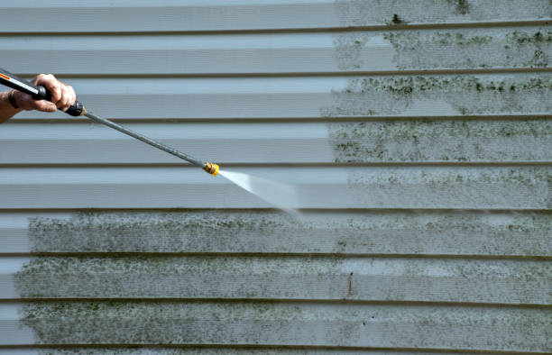 Trusted Jamestown, OH Mold Removal Experts