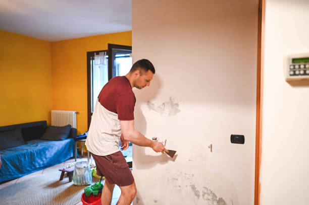 Best Fast Mold Removal  in Jamestown, OH